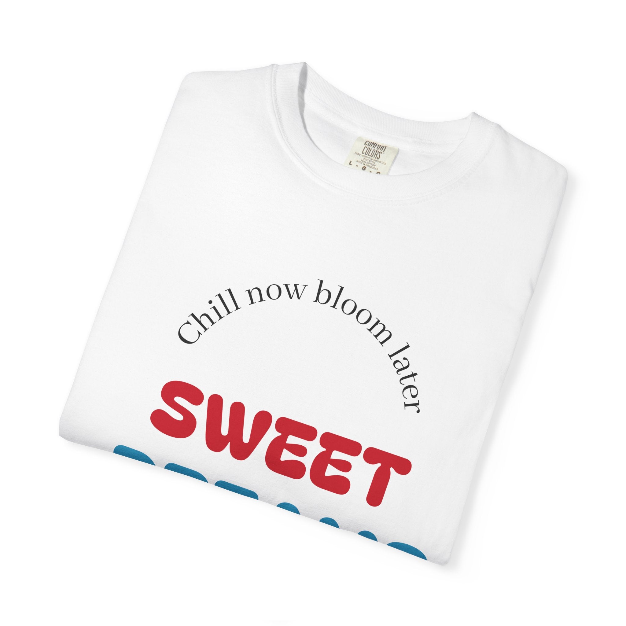 Llama Graphic T‑Shirt — 'Sweet Dreams' Front Text & Cool Llama Back Print